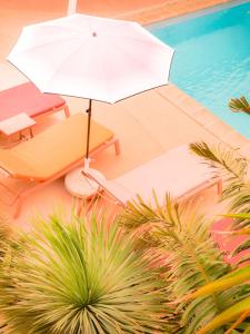 Afbeelding uit fotogalerij van heliOtel hôtel naturiste in Hyères +8 foto's