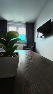 TV a/nebo společenská místnost v ubytování Hotel Delisa