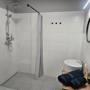 a bathroom with a shower and a sink at Babie lato Łagów in Łagów
