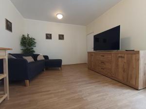 TV a/nebo společenská místnost v ubytování Viru Backpackers Hostel