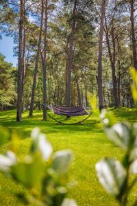 Zahrada ubytování Łeba Boutique Apartments + 17 fotografií