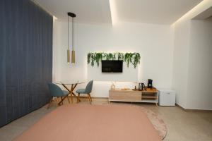Μια τηλεόραση ή/και κέντρο ψυχαγωγίας στο Suites Domus Fysi
