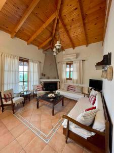 a living room with a couch and a fireplace at Finikounta Sunset Family Maisonette in Grizókambos