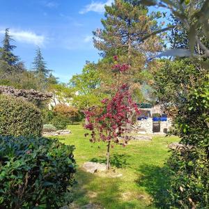 Ein Garten an der Unterkunft Gîte en Ardèche Méridionale - Les Berbéris