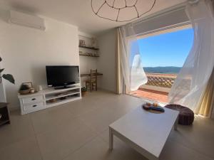 蒙托鲁Logement charmant avec vue magique的一间带电视和大窗户的客厅
