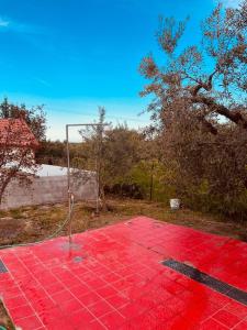 Fotografie z fotogalerie ubytování Narcis House v Soluni