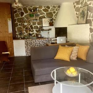 Χώρος καθιστικού στο Estudio limonero en Sant Cebriá de Vallalta 20' playa