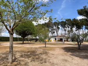 a park with trees and a house in the background at Casa Rural Hanega in Manzanares