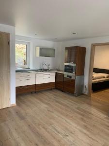 Kuchyň nebo kuchyňský kout v ubytování Apartmány Domaša Poľany