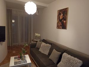 โทรทัศน์และ/หรือระบบความบันเทิงของ Apartman Ozy