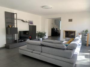 Una sala de estar con un sofá y un televisor. en Villa Natura, en Saint-Jean-de-Cuculles