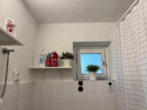 Koupelna v ubytování Dream Home