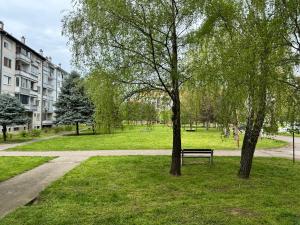 Zahrada ubytování Dream Home