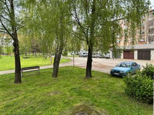 Zahrada ubytování Dream Home