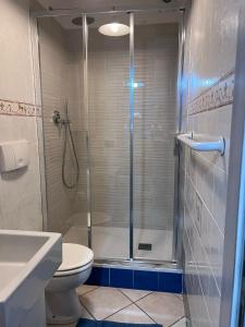 a bathroom with a shower with a toilet and a sink at Agriturismo Buranco in Monterosso al Mare +37 photos