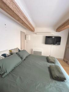 Ένα ή περισσότερα κρεβάτια σε δωμάτιο στο Appartement Aixois de caractère Place des 4 Dauphins