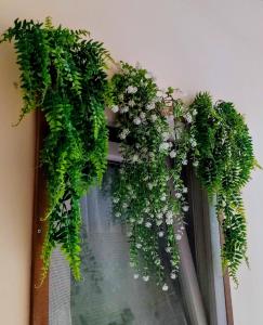 ein Fenster mit grünen Blättern und weißen Blumen in der Unterkunft Fenia in Nafplio