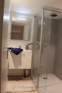 Koupelna v ubytování Corse du Sud Villa les pieds dans l'eau ! + 24 fotografií