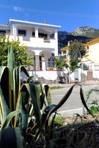 een wit huis met een plant ervoor bij Suite Torrigiani in Cala Gonone +17 foto's