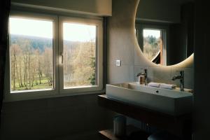 a bathroom with a sink and two windows at Hotel Restaurant des Vosges in Birkenwald