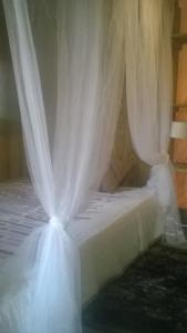 a white bed with a curtain on top of it at African Tent in Ponte da Barca