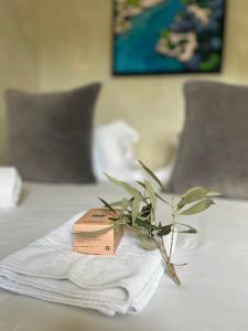 a small plant sitting on top of a table at Villavos- Le Bocage in Cassis