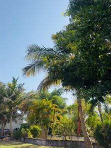 Сад в Nilkanth Resort - Best Resort in Anand