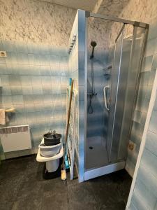a bathroom with a shower and a toilet at Aquanerius Résidence in Néris-les-Bains +141 photos
