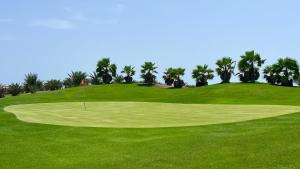 Golf v penzionu nebo okolí