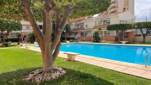Bazén v ubytovaní Apartamento PARADISE Solo Familias alebo v jeho blízkosti