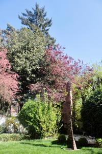 a tree with pink flowers in a park at Hotel de Maître de Vaughan in Brussels +111 photos