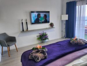 Телевизор и/или развлекательный центр в Playa Monis 1