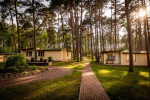 a brick path in the middle of a park with trees at Domki Leśne Uroczysko in Ustka
