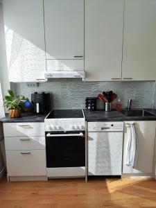 Dapur atau dapur kecil di Jyrängön Helmi +10 gambar