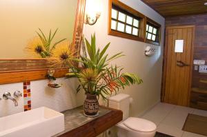 a bathroom with a sink and a toilet and a mirror at Pousada Recanto do Pinheirão in Visconde De Maua