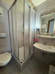 a bathroom with a shower and a toilet and a sink at Hotel Post Cunter Biancardi in Savognin +36 photos