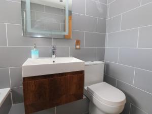 a bathroom with a sink and a toilet and a mirror at Carreg Yr Onnen in Haverfordwest +21 photos