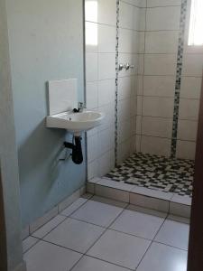 un baño con lavabo y ducha en MD VIP guest house, en Amersfoort