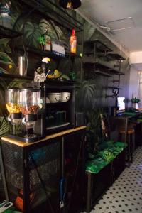 Foto Phi Phi Doni saarel asuva majutusasutuse Tropical Vibes Hostel galeriist