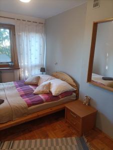 a bedroom with a bed and a mirror and a window at Agroturystyka Przy Wąwozie in Karmanowice