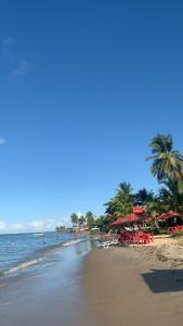 una spiaggia con palme, sedie e l'oceano di Kitnet Sonho de Verão a Santa Cruz Cabrália