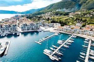an aerial view of a marina with boats in the water at Zdravka in Đenovići