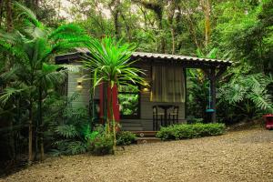 Fotografie z fotogalerie ubytování Aconchego dos Pássaros v destinaci Timbe do Sul