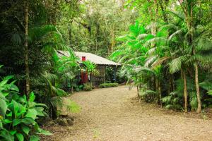 Fotografie z fotogalerie ubytování Aconchego dos Pássaros v destinaci Timbe do Sul