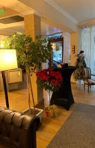 Posezení v ubytování Hotel Studio