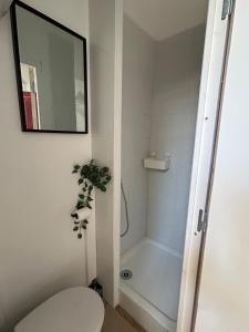 a bathroom with a toilet and a shower with a mirror at Studio 50m de la mer in Menton +33 photos