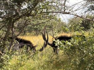 Fotografie z fotogalerie ubytování Ndefu Self Catering Accommodation v destinaci Otjiwarongo