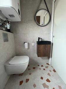 a bathroom with a white toilet and a mirror at Maison Terracotta des Karantes in Narbonne-Plage +15 photos