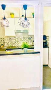 een aanrecht met twee potplanten erop bij Au son des Cigales in Cassis