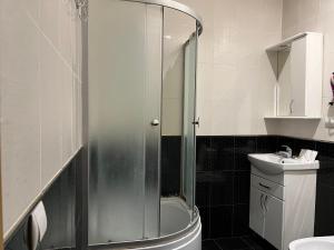 a bathroom with a shower and a toilet and a sink at Mini Hotel Leon in Lalovo +25 photos